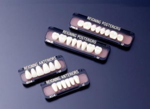 熱可塑性レジン歯「レイニング人工歯HARD」の写真