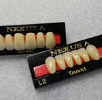 ネクサスAの写真