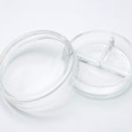 三割シャーレ　大・小の写真