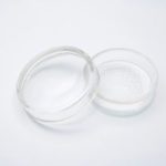 シャーレの写真