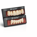 SR サクラールの写真