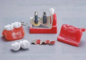 保護中: メガナビⅡSの写真