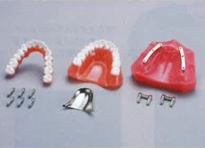 保護中: メガナビⅣの写真