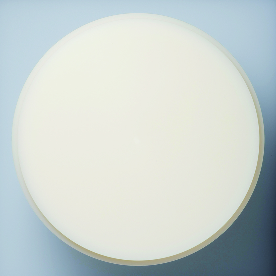 レジンディスクの写真