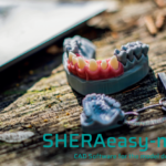 シェーラ イージーモデル・イージーモデルロイヤルの写真