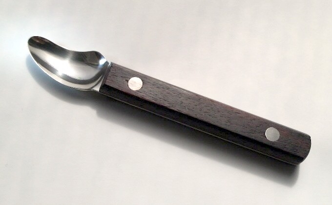 アルバスパチュラの写真