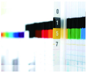 カルテファイルの写真